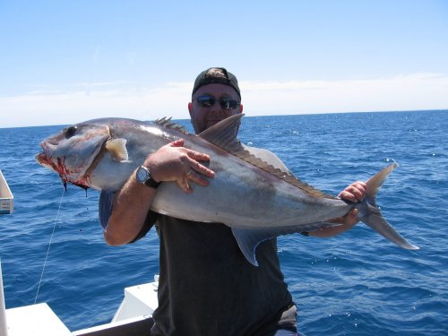 Neil Salter 25kg samson fish