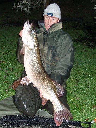 Jeff Squires 26lb pike