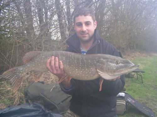Mikey 14lb pike