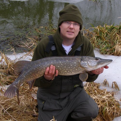 Andy Webster pike